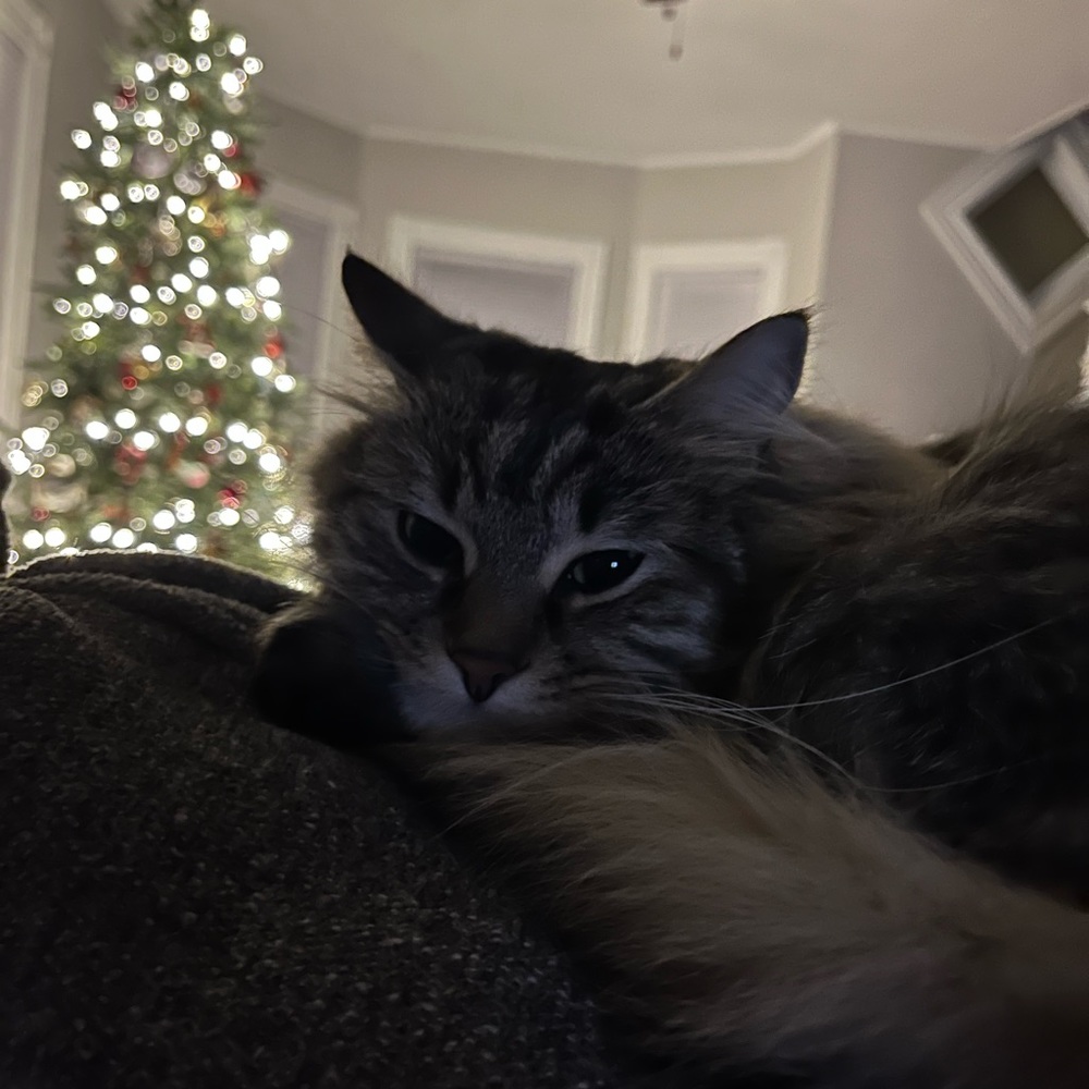 Meet your Posher, Jamie